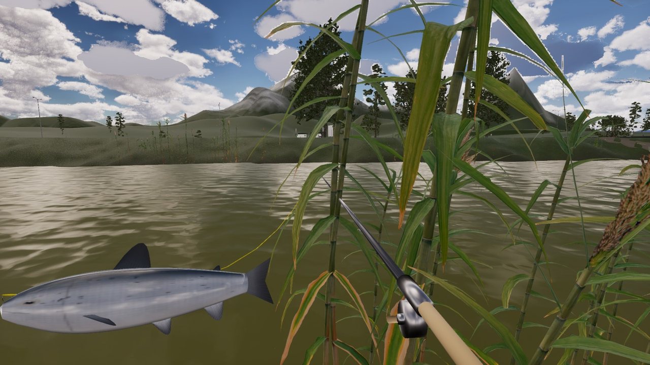 First person on a riverbank among reeds: a silver salmon on the line breaks the surface beside the rod.
