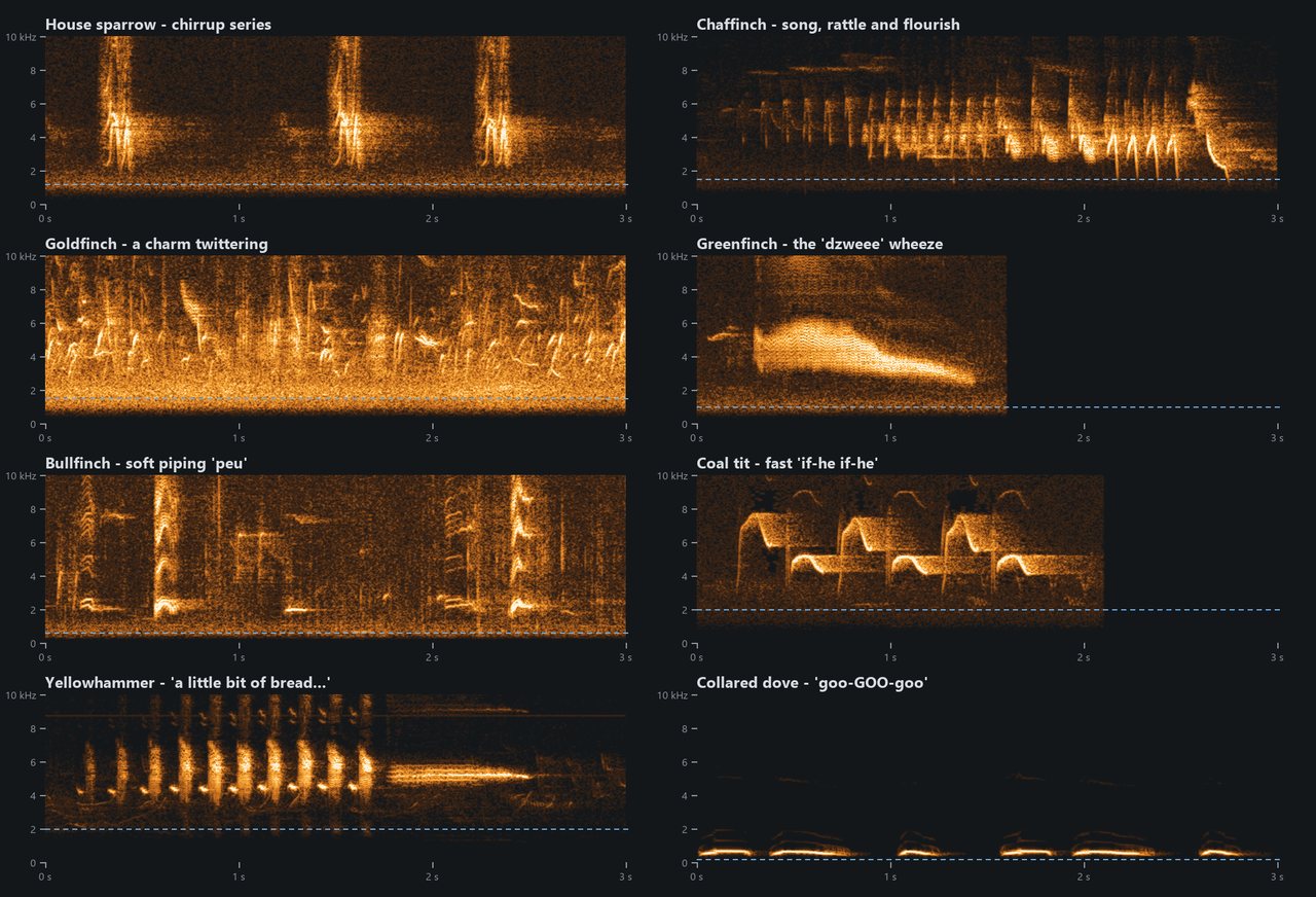 Eight spectrograms in two columns, amber on dark grey, one per bird call: house sparrow, chaffinch, goldfinch, greenfinch, bullfinch, coal tit, yellowhammer and collared dove. Each shows its call as bright marks, with a dashed blue line near the bottom marking the filter.
