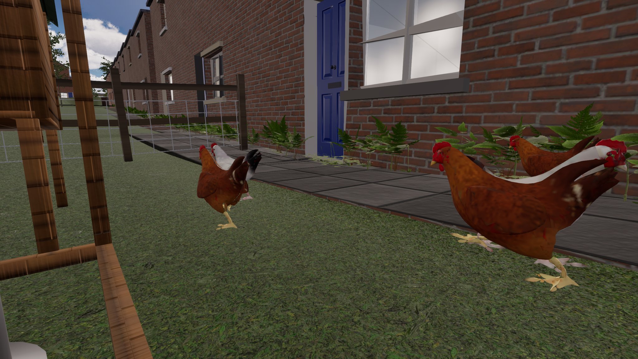 Low view across a back lawn beside a red-brick terrace with a blue front door. Two brown hens are close to the camera, one with its body tipped forward and its beak down in the grass; a wooden coop leg and a fence are on the left.