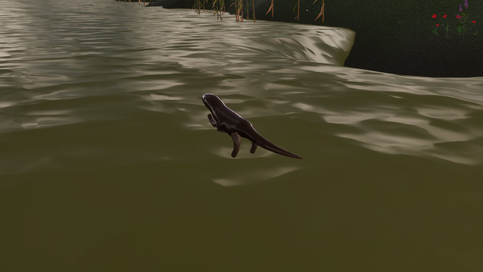 A dark brown otter on a murky green-brown river, its head and back above the surface and its legs and tail hanging visibly out of the water, with reeds and a grassy bank behind.