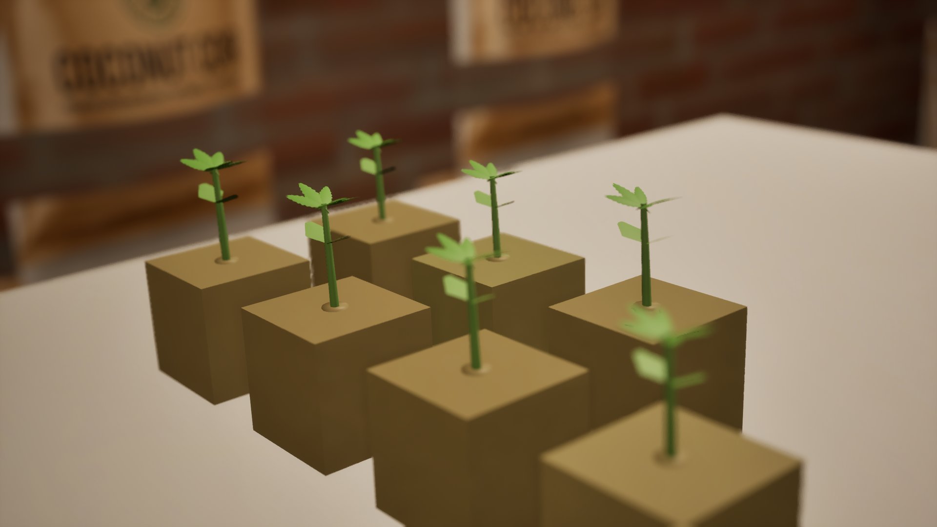 Eight young clones in rockwool cubes on a white table, coir bags blurred behind.