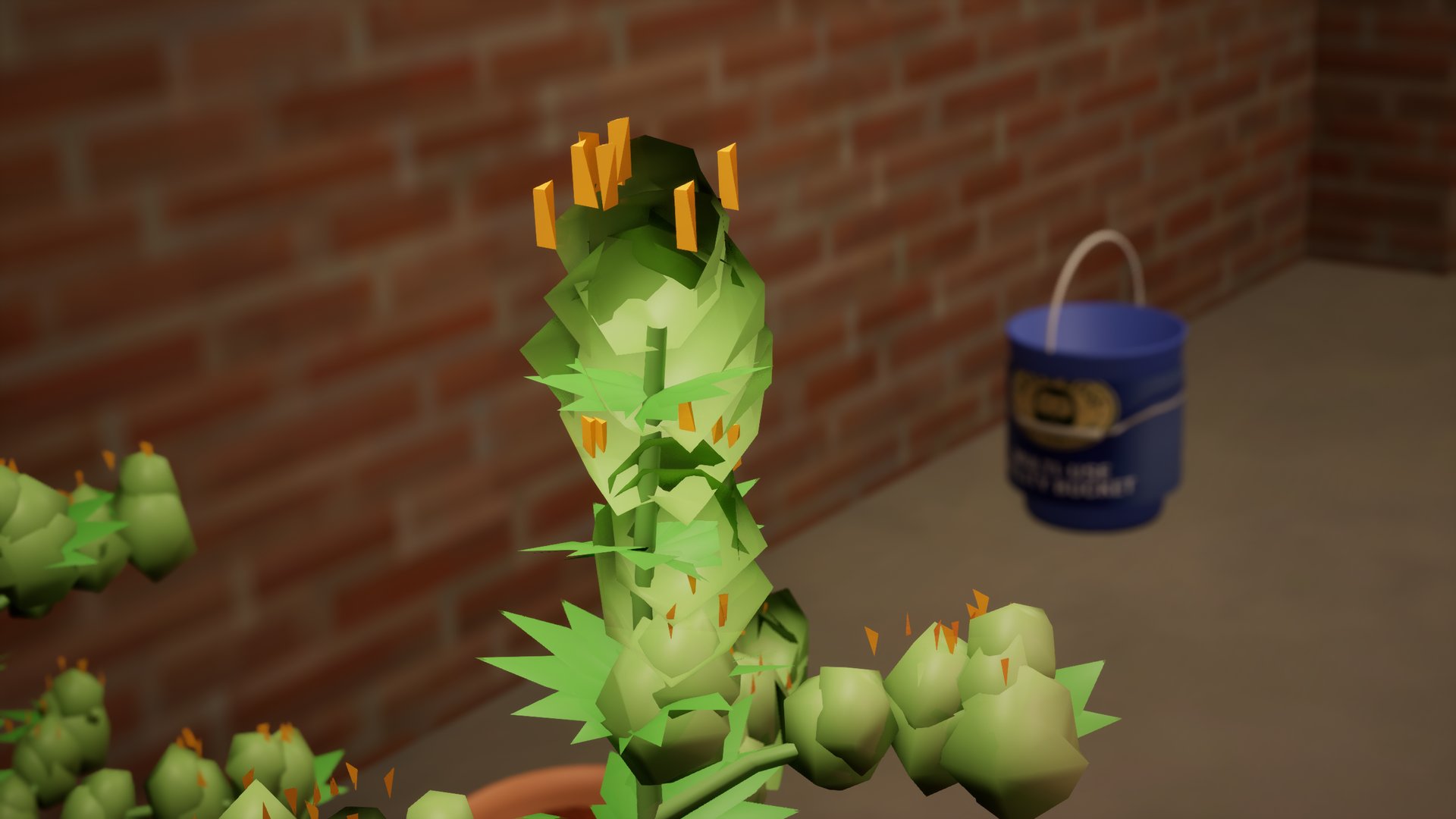 A flowering plant in a pot, a long green cola at the top and smaller buds on the side branches, a blue bucket on the cellar floor behind.