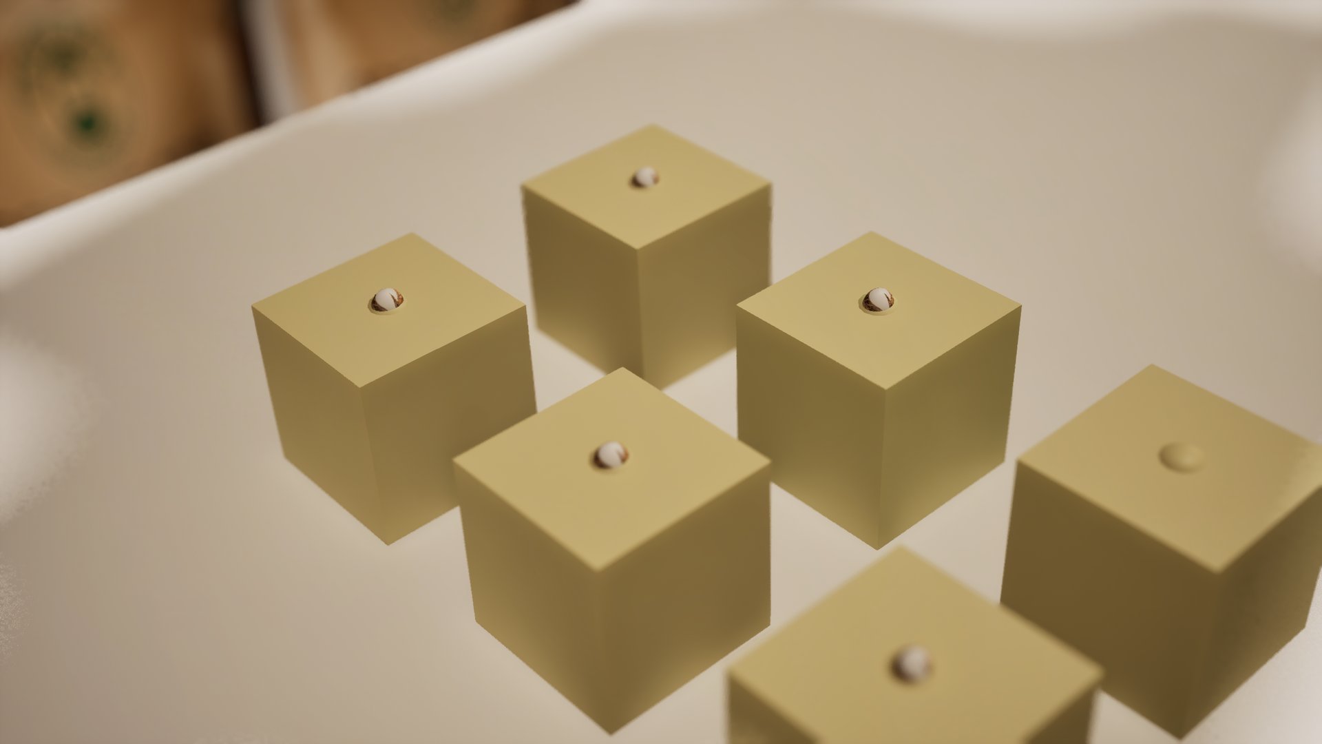 Close up: six tan rockwool cubes on a white table, a pale seed sitting in the top of each.