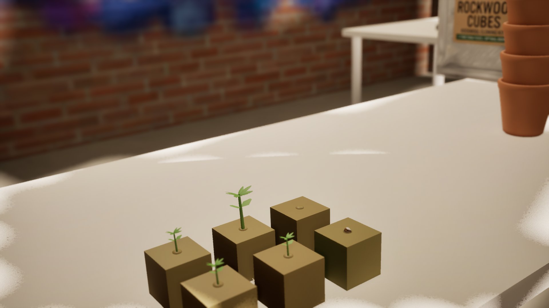 Rockwool cubes on a white table, four of them with small green sprouts and two still showing only the seed, the mural blurred on the brick wall behind.