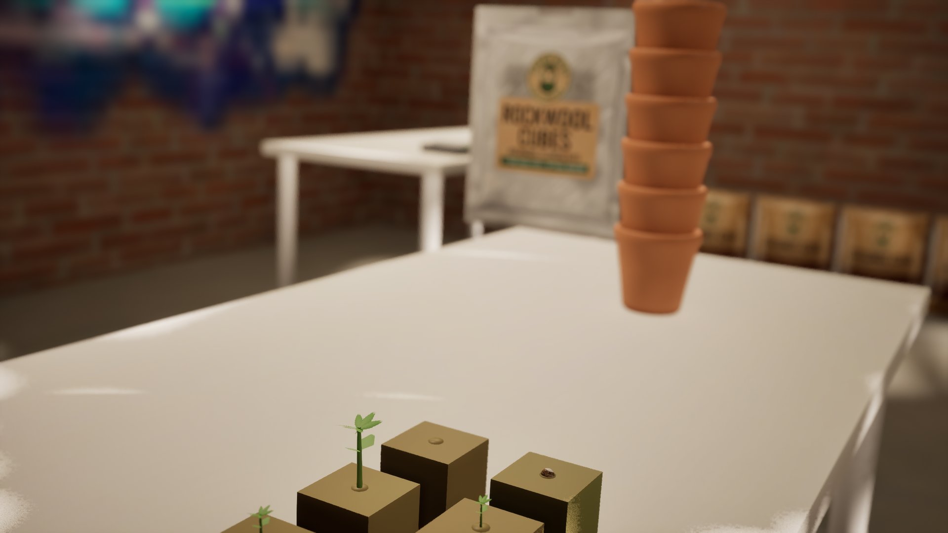 A wider view of the work table: sprouting rockwool cubes in the foreground, a stack of terracotta pots and a Green Boss rockwool bag behind them.