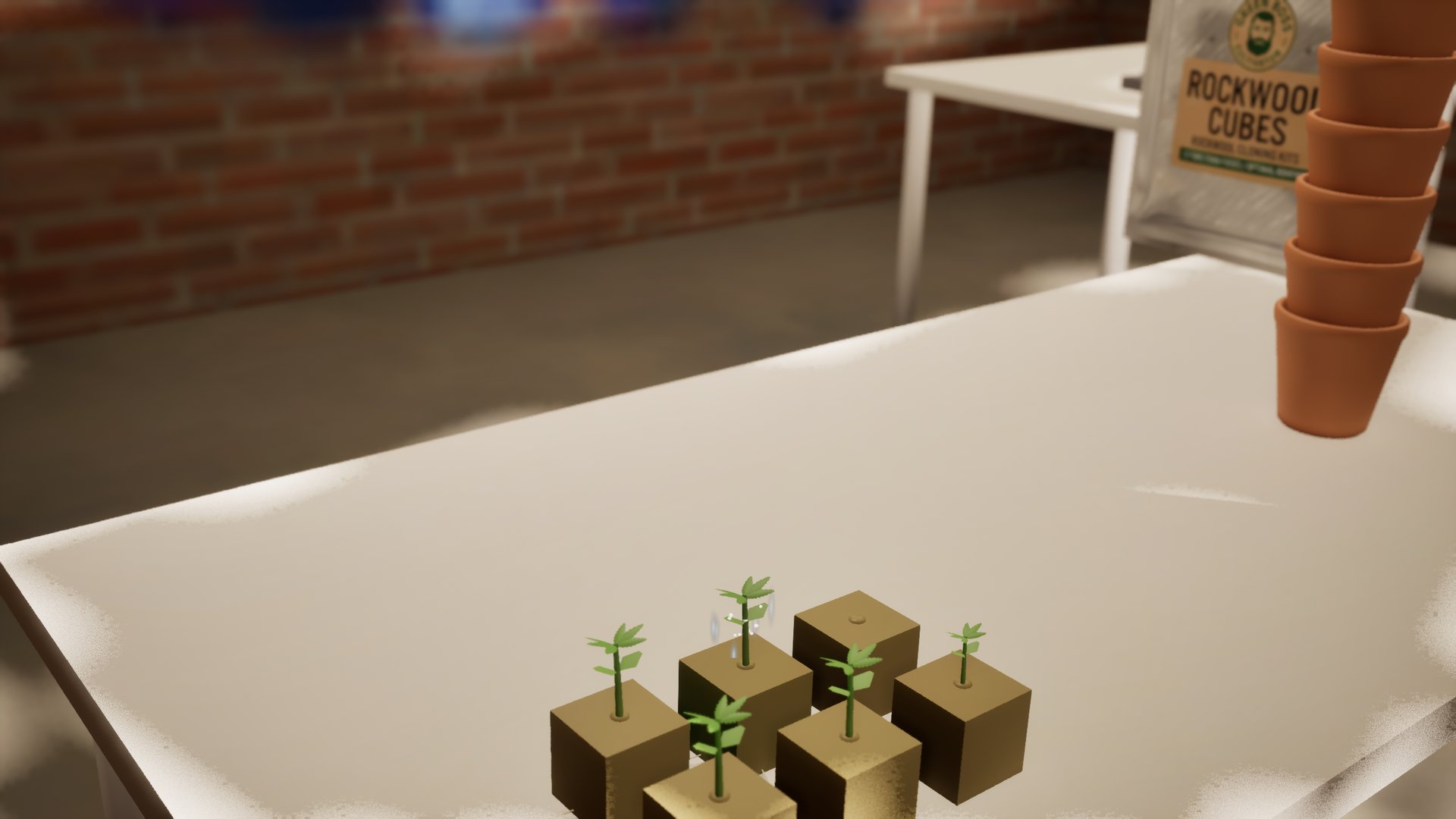 Six seedlings, each with a few pairs of leaves, standing in rockwool cubes on a white table.