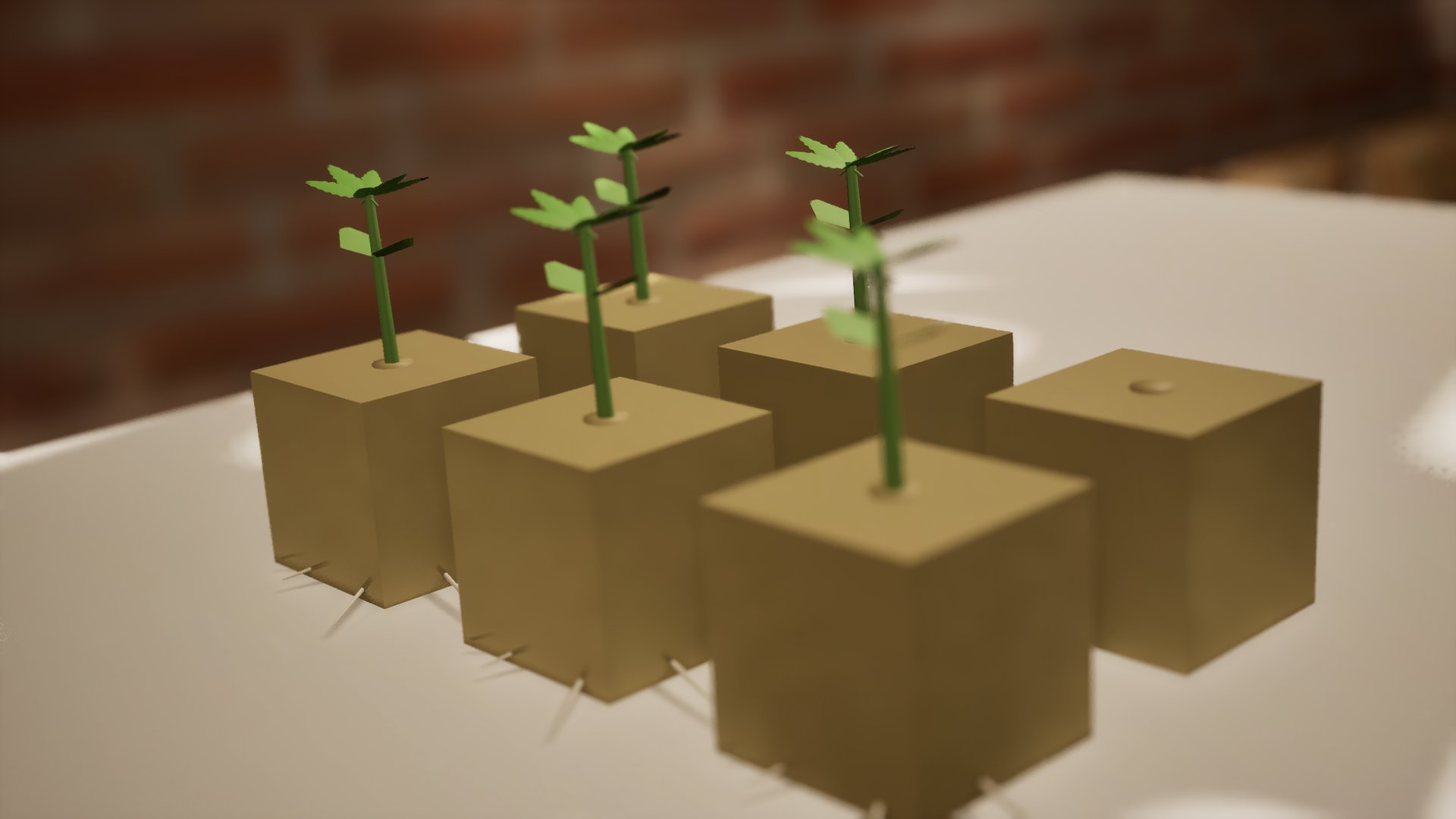 Low and close: young seedlings in rockwool cubes with thin white roots poking out through the sides of the cubes.